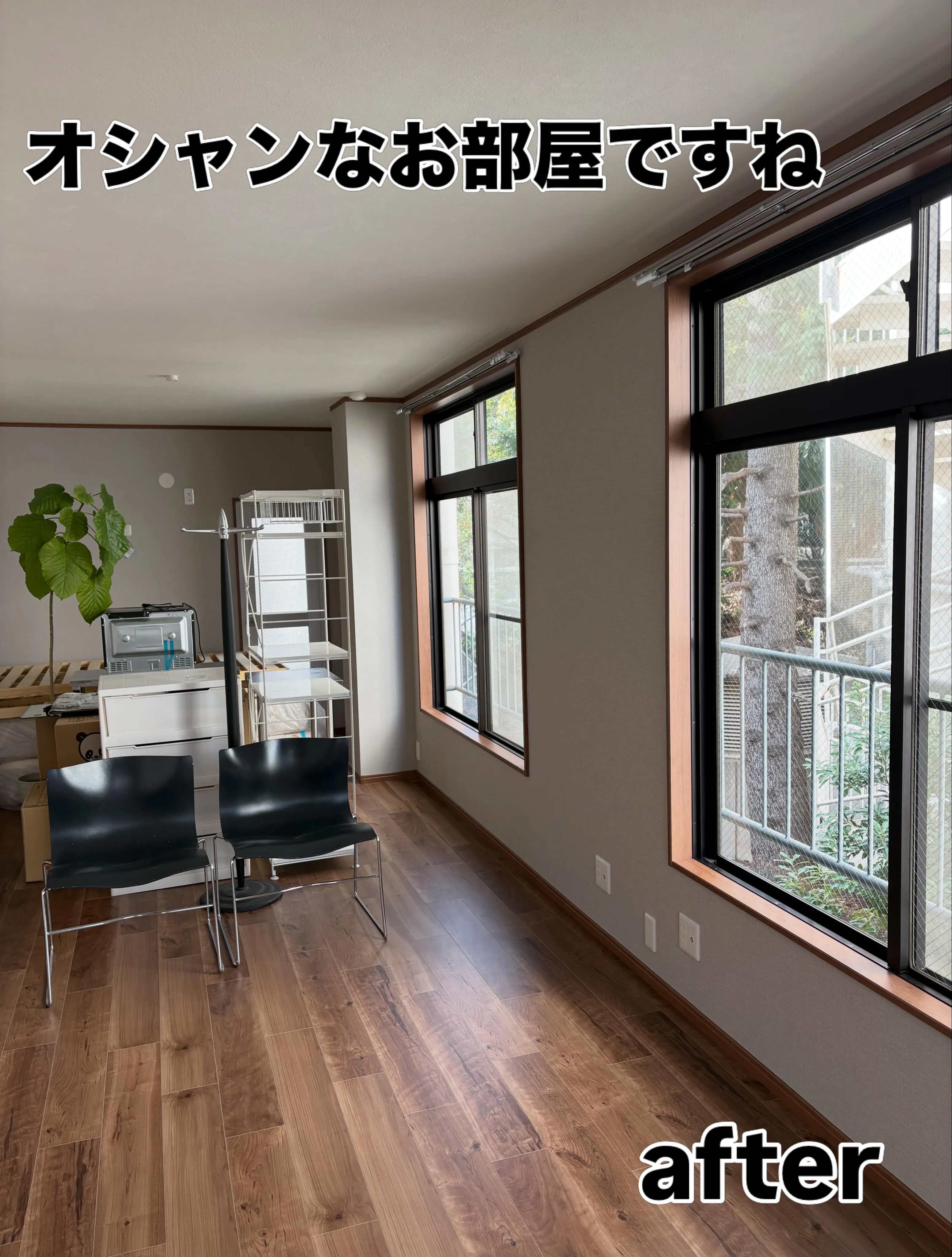 ［和室6畳2間ドゴォーンと1部屋］